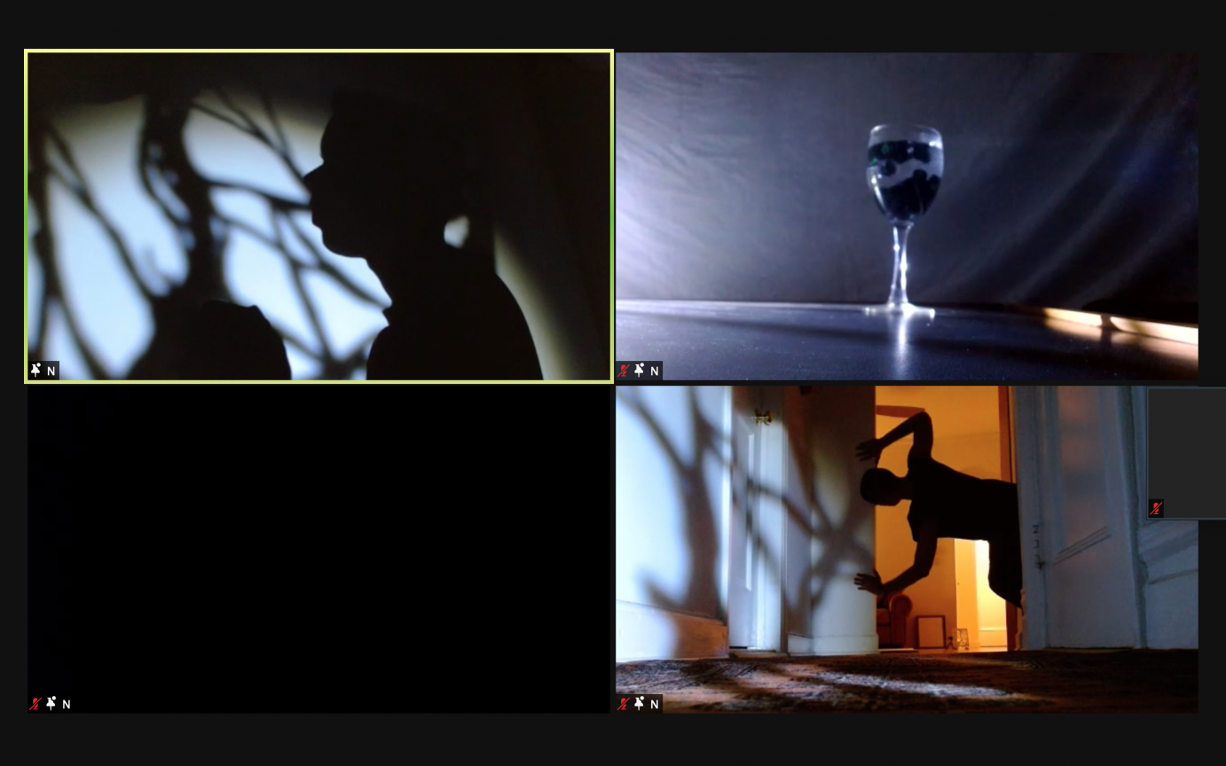 There are four panes in a Zoom presentation. From top right clockwise, they include a goblet of wine, a man dancing in a doorway, a black box, and a silhouette of woman's face in profile against cutout tree branches